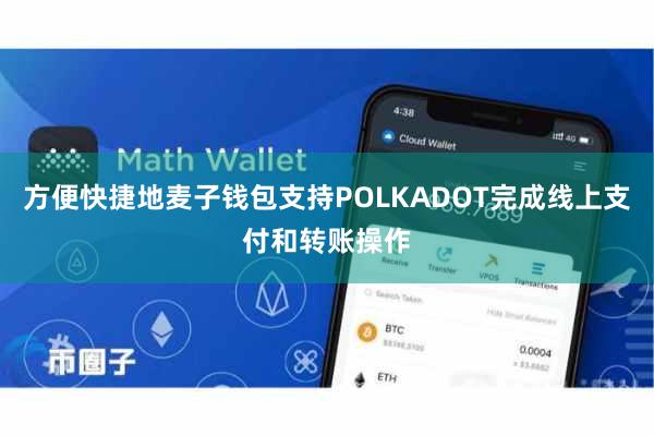 方便快捷地麦子钱包支持POLKADOT完成线上支付和转账操作