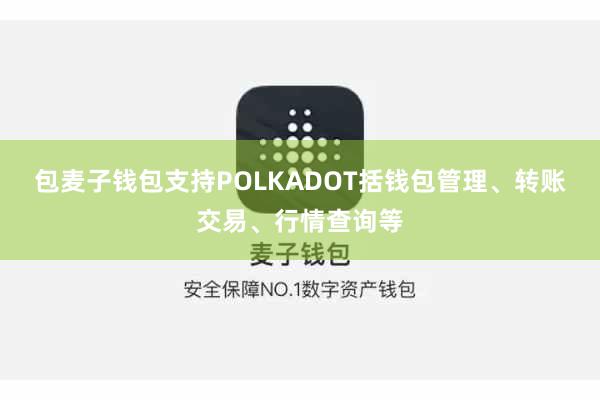 包麦子钱包支持POLKADOT括钱包管理、转账交易、行情查询等