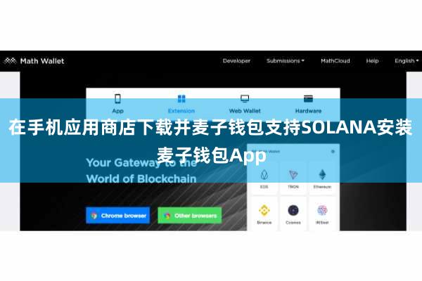 在手机应用商店下载并麦子钱包支持SOLANA安装麦子钱包App