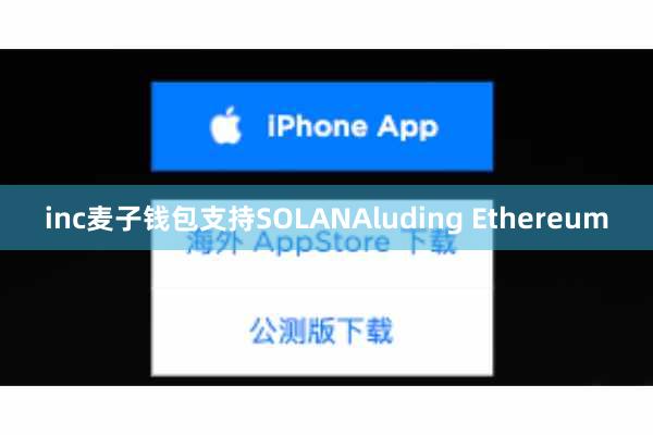 inc麦子钱包支持SOLANAluding Ethereum