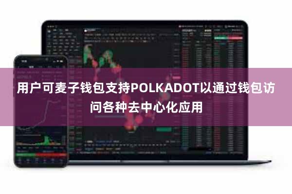 用户可麦子钱包支持POLKADOT以通过钱包访问各种去中心化应用