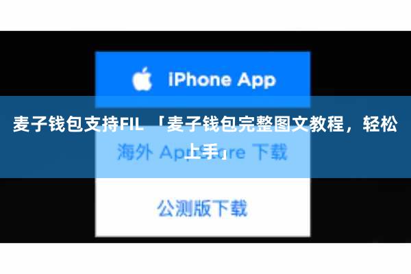 麦子钱包支持FIL 「麦子钱包完整图文教程,轻松上手」