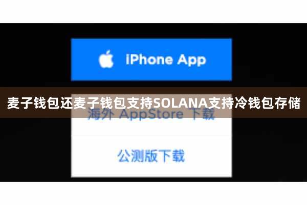 麦子钱包还麦子钱包支持SOLANA支持冷钱包存储