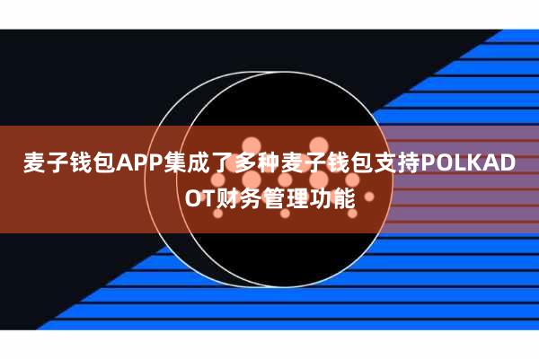 麦子钱包APP集成了多种麦子钱包支持POLKADOT财务管理功能