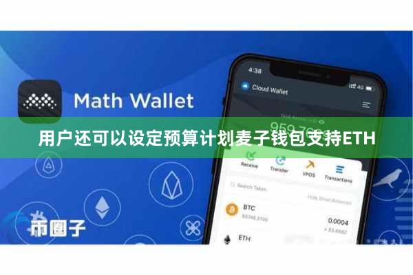 用户还可以设定预算计划麦子钱包支持ETH