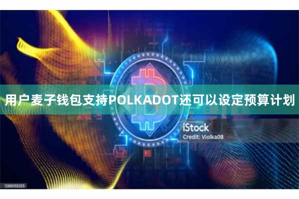 用户麦子钱包支持POLKADOT还可以设定预算计划