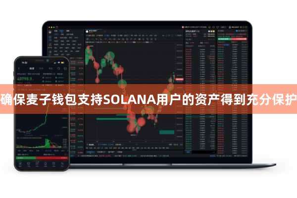确保麦子钱包支持SOLANA用户的资产得到充分保护