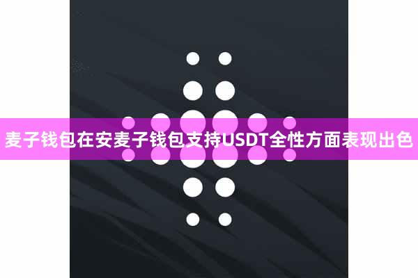 麦子钱包在安麦子钱包支持USDT全性方面表现出色