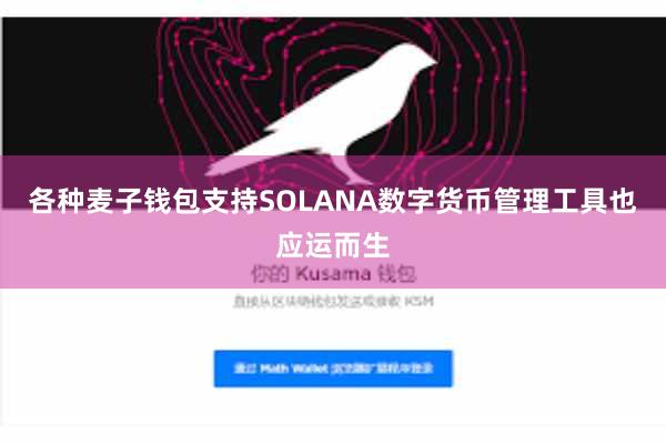 各种麦子钱包支持SOLANA数字货币管理工具也应运而生