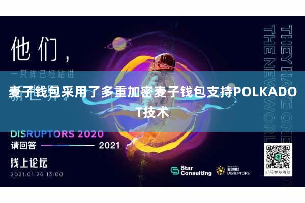 麦子钱包采用了多重加密麦子钱包支持POLKADOT技术