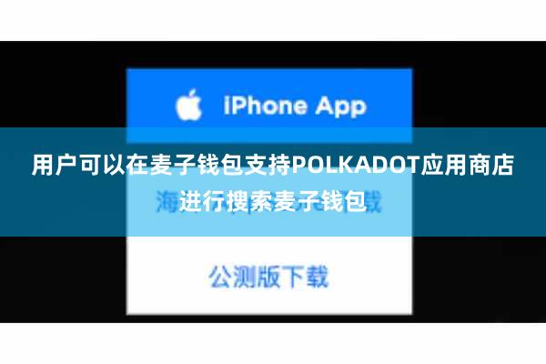 用户可以在麦子钱包支持POLKADOT应用商店进行搜索麦子钱包