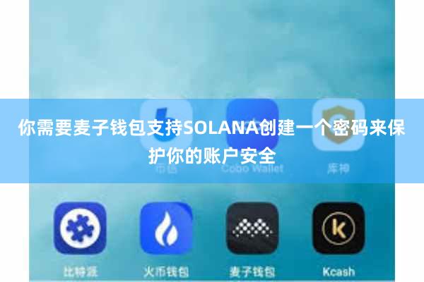 你需要麦子钱包支持SOLANA创建一个密码来保护你的账户安全