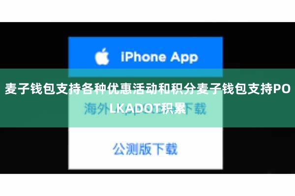 麦子钱包支持各种优惠活动和积分麦子钱包支持POLKADOT积累