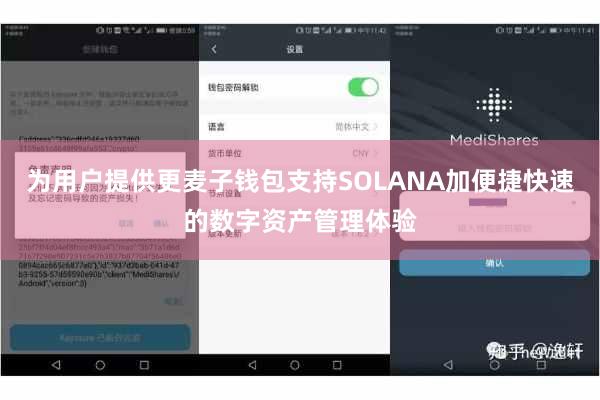为用户提供更麦子钱包支持SOLANA加便捷快速的数字资产管理体验