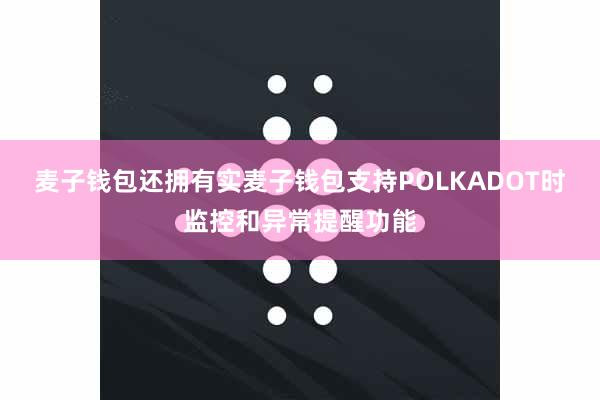 麦子钱包还拥有实麦子钱包支持POLKADOT时监控和异常提醒功能