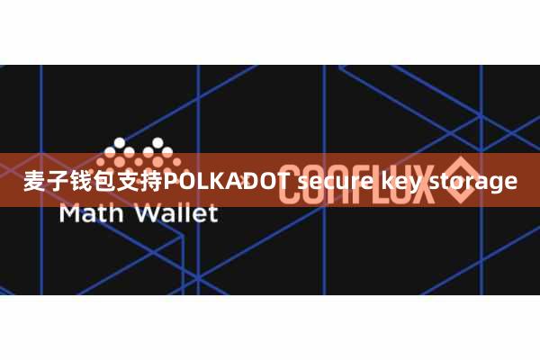 麦子钱包支持POLKADOT secure key storage
