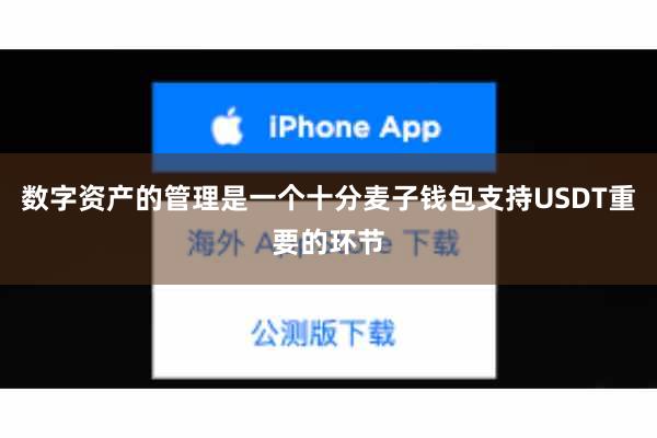 数字资产的管理是一个十分麦子钱包支持USDT重要的环节