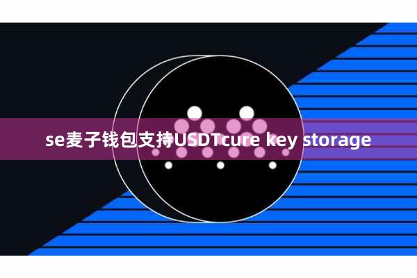 se麦子钱包支持USDTcure key storage