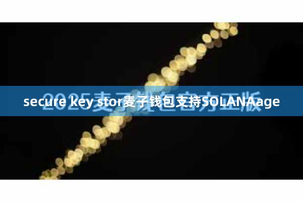 secure key stor麦子钱包支持SOLANAage