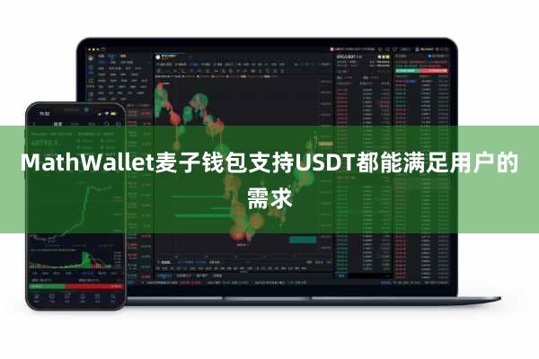 MathWallet麦子钱包支持USDT都能满足用户的需求