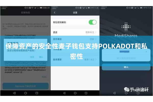 保障资产的安全性麦子钱包支持POLKADOT和私密性