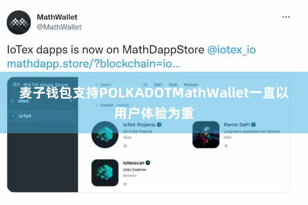 麦子钱包支持POLKADOTMathWallet一直以用户体验为重