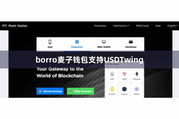 borro麦子钱包支持USDTwing