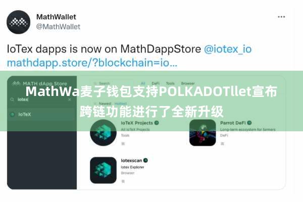 MathWa麦子钱包支持POLKADOTllet宣布跨链功能进行了全新升级