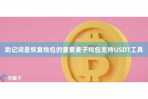 助记词是恢复钱包的重要麦子钱包支持USDT工具