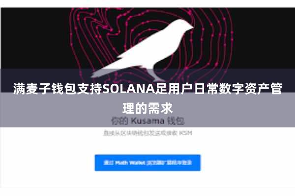 满麦子钱包支持SOLANA足用户日常数字资产管理的需求