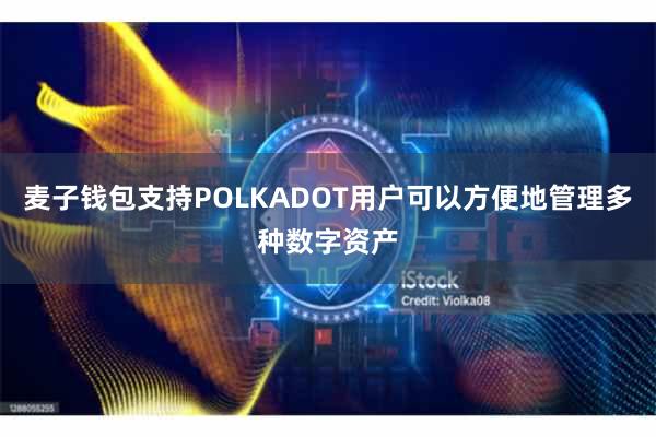 麦子钱包支持POLKADOT用户可以方便地管理多种数字资产