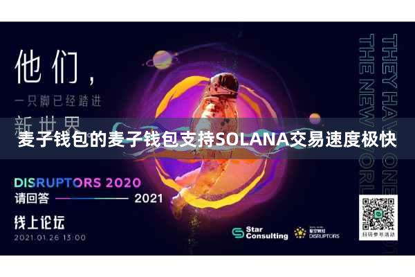 麦子钱包的麦子钱包支持SOLANA交易速度极快