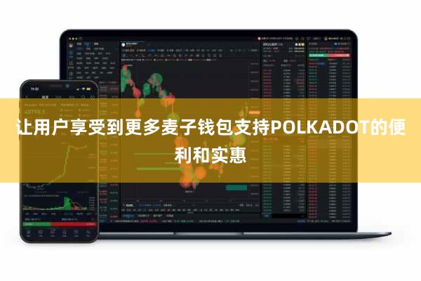 让用户享受到更多麦子钱包支持POLKADOT的便利和实惠