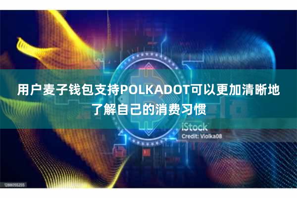 用户麦子钱包支持POLKADOT可以更加清晰地了解自己的消费习惯