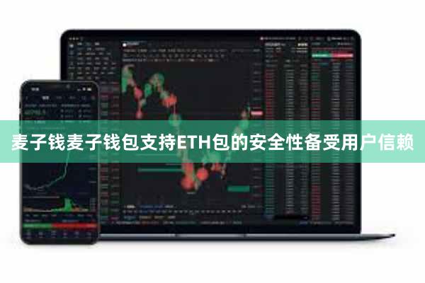 麦子钱麦子钱包支持ETH包的安全性备受用户信赖