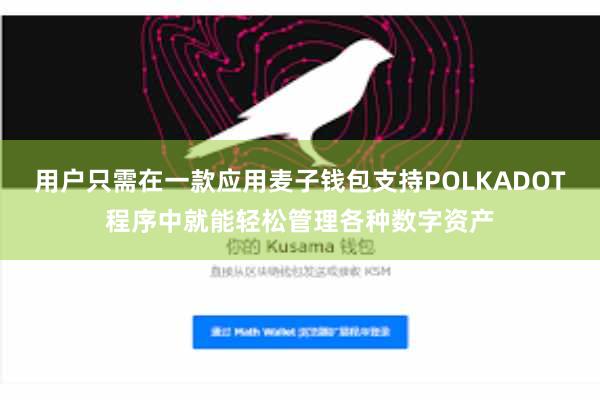 用户只需在一款应用麦子钱包支持POLKADOT程序中就能轻松管理各种数字资产