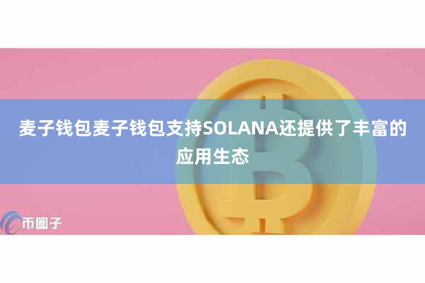 麦子钱包麦子钱包支持SOLANA还提供了丰富的应用生态