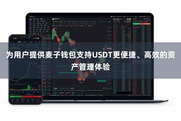为用户提供麦子钱包支持USDT更便捷、高效的资产管理体验