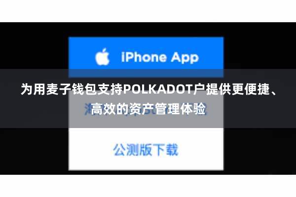 为用麦子钱包支持POLKADOT户提供更便捷、高效的资产管理体验