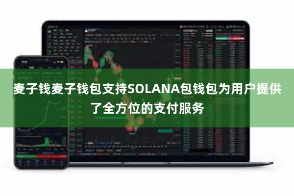 麦子钱麦子钱包支持SOLANA包钱包为用户提供了全方位的支付服务