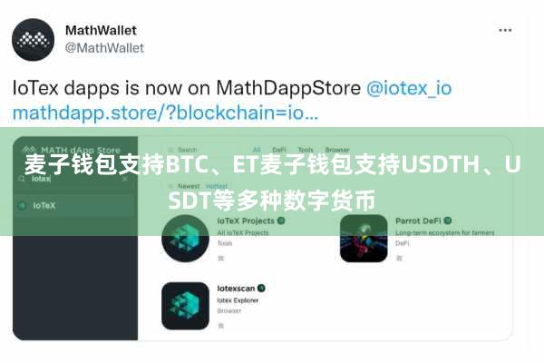 麦子钱包支持BTC、ET麦子钱包支持USDTH、USDT等多种数字货币