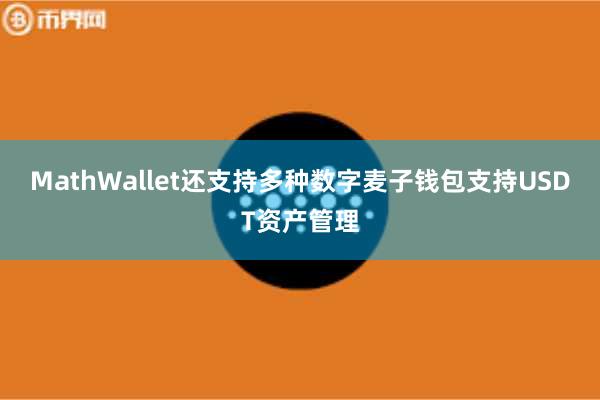 MathWallet还支持多种数字麦子钱包支持USDT资产管理