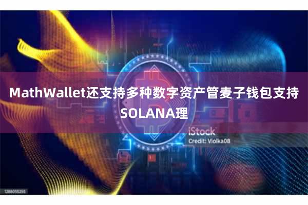MathWallet还支持多种数字资产管麦子钱包支持SOLANA理